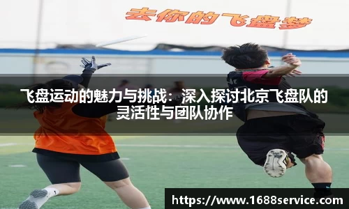 飞盘运动的魅力与挑战：深入探讨北京飞盘队的灵活性与团队协作
