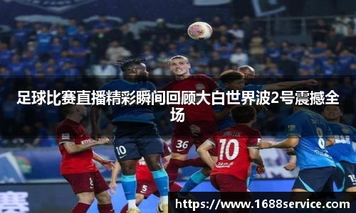 365WM完美体育官方app